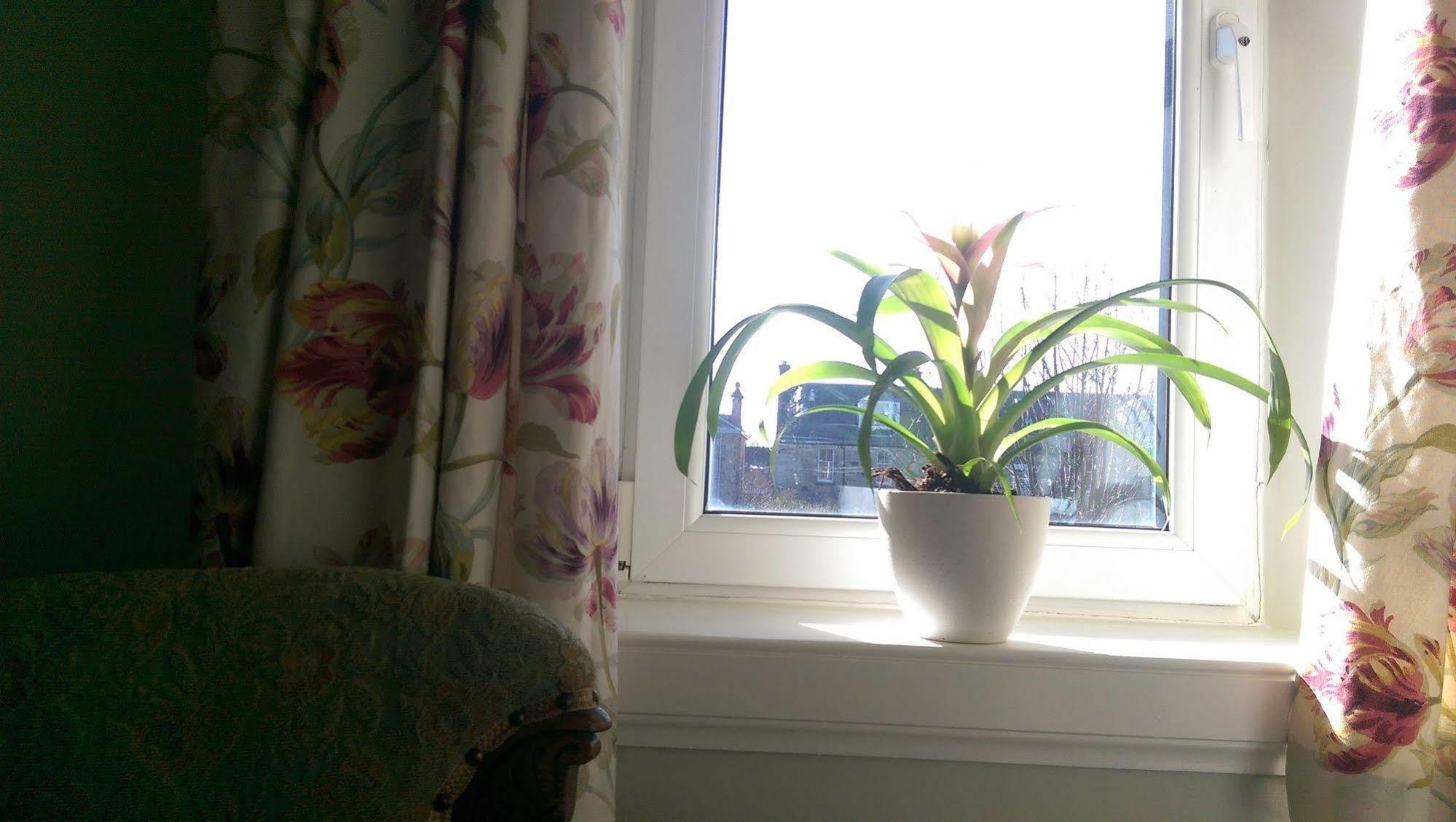 Lochinver Guesthouse Ayr Exteriér fotografie